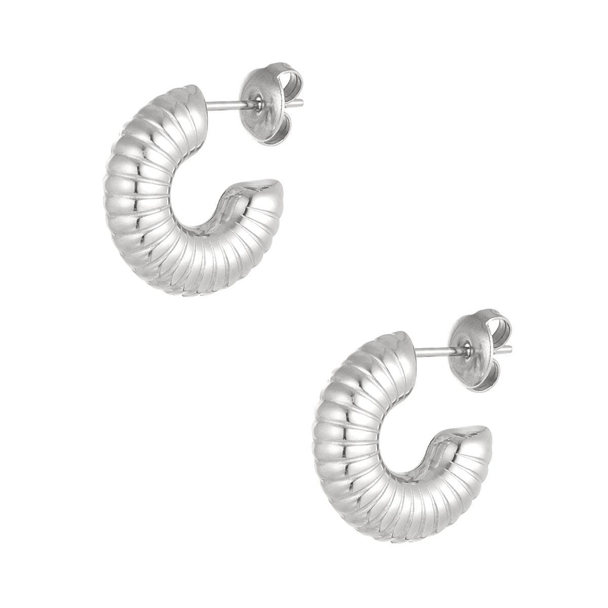 Chubby Small Zircon Earrings