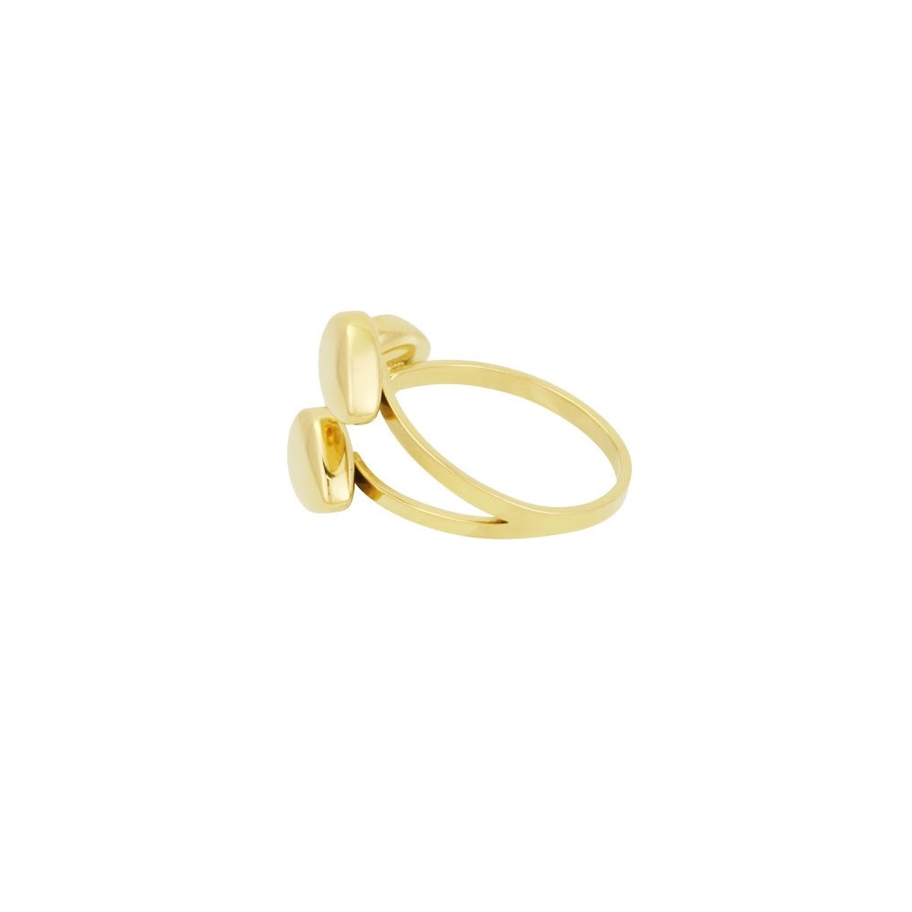 Anello Vega