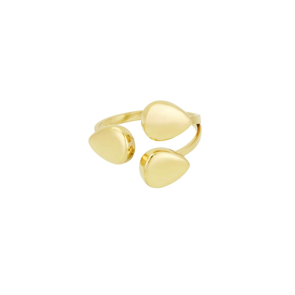 Anello Vega
