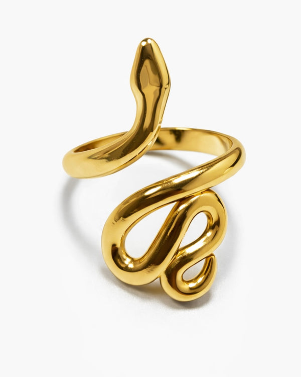 Anello Serpe