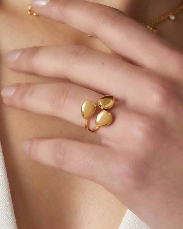 Anello Vega