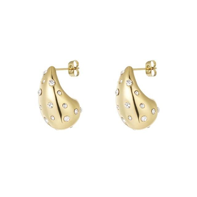 Sparkling Drop Earrings