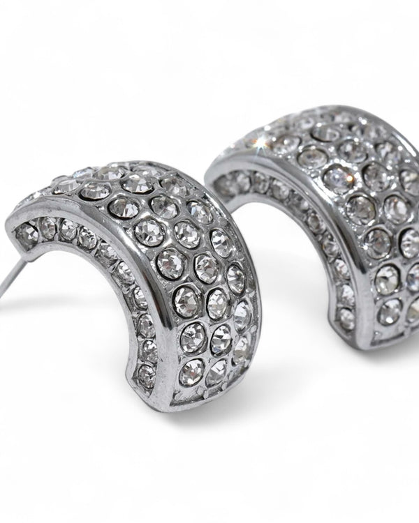 Sparkling Curve Earrings
