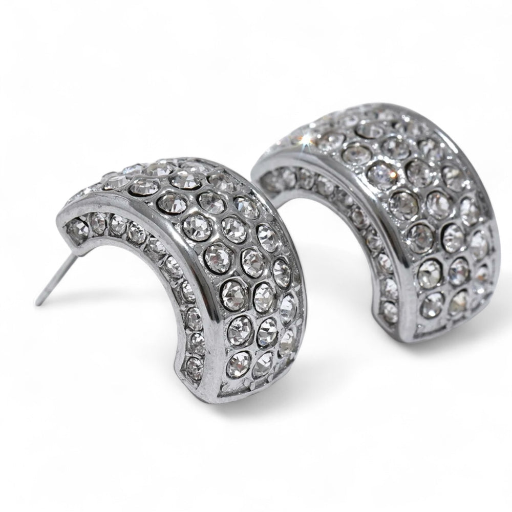 Sparkling Curve Earrings