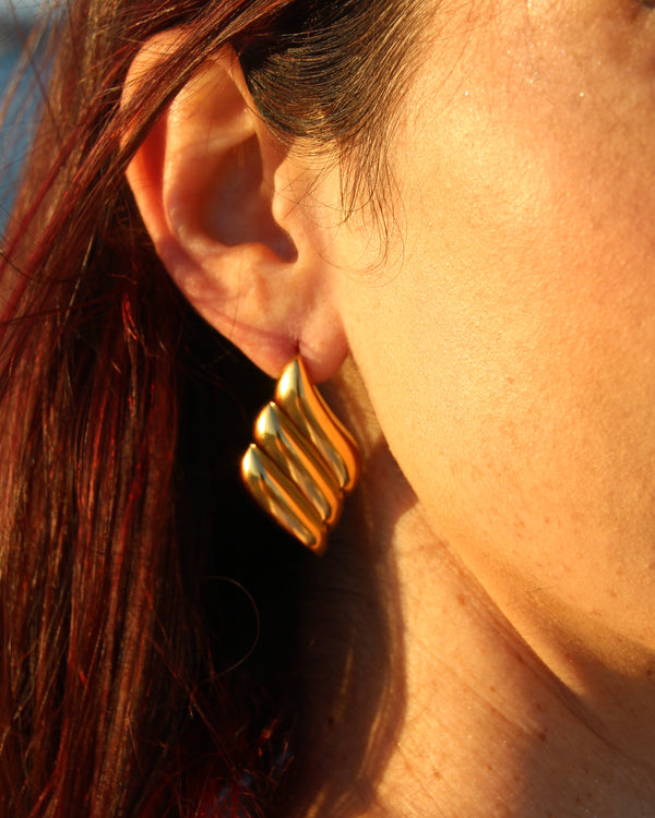 Wings Earrings