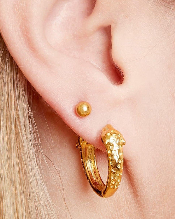 Big Dot Earrings
