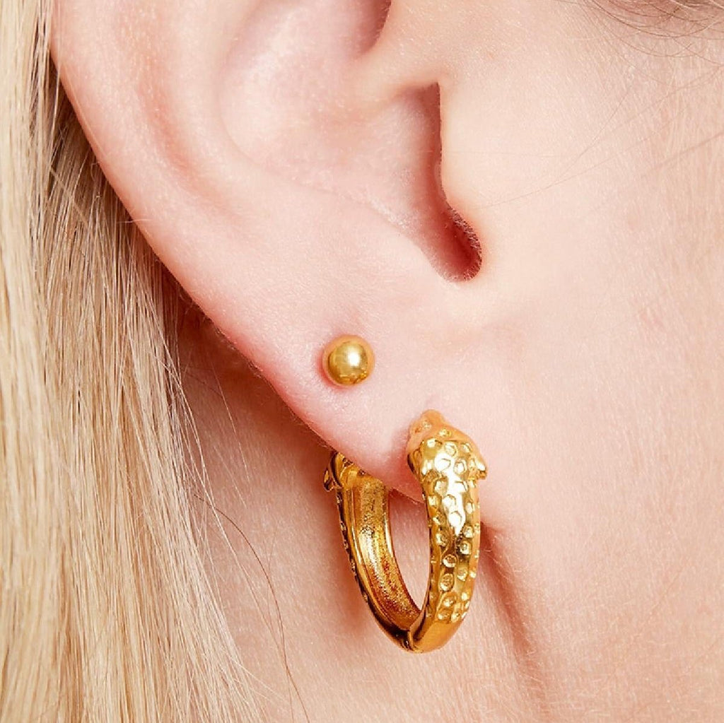 Big Dot Earrings