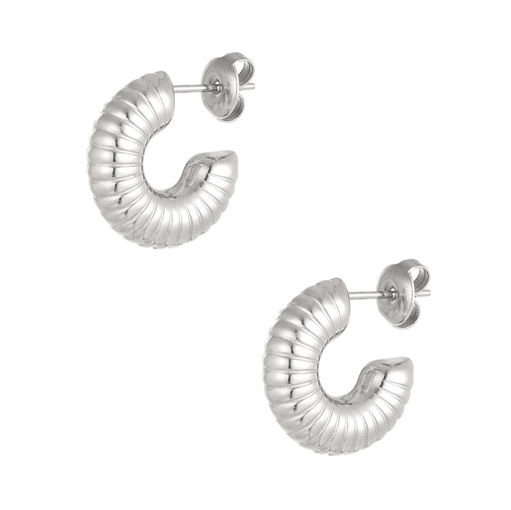 Chubby Small Zircon Earrings