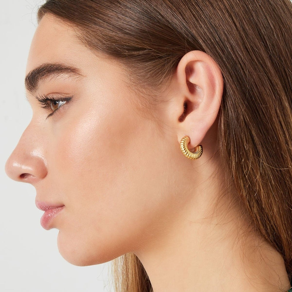 Chubby Small Zircon Earrings