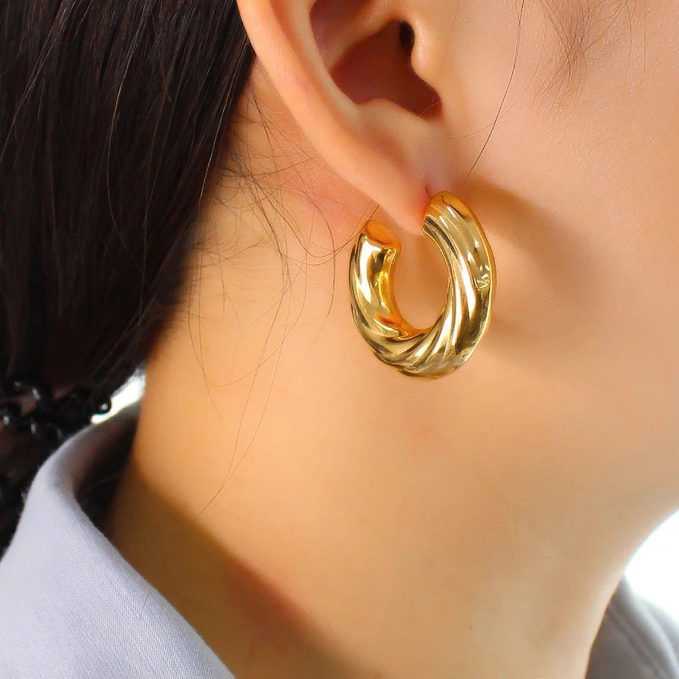 Chubby Vortex Earrings
