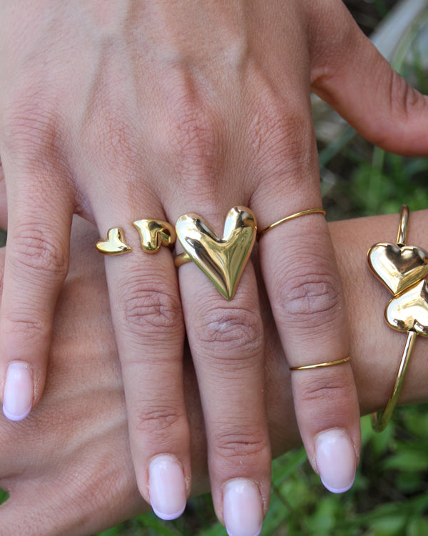 Anello Double Heart