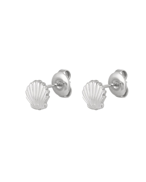 Shell Earrings