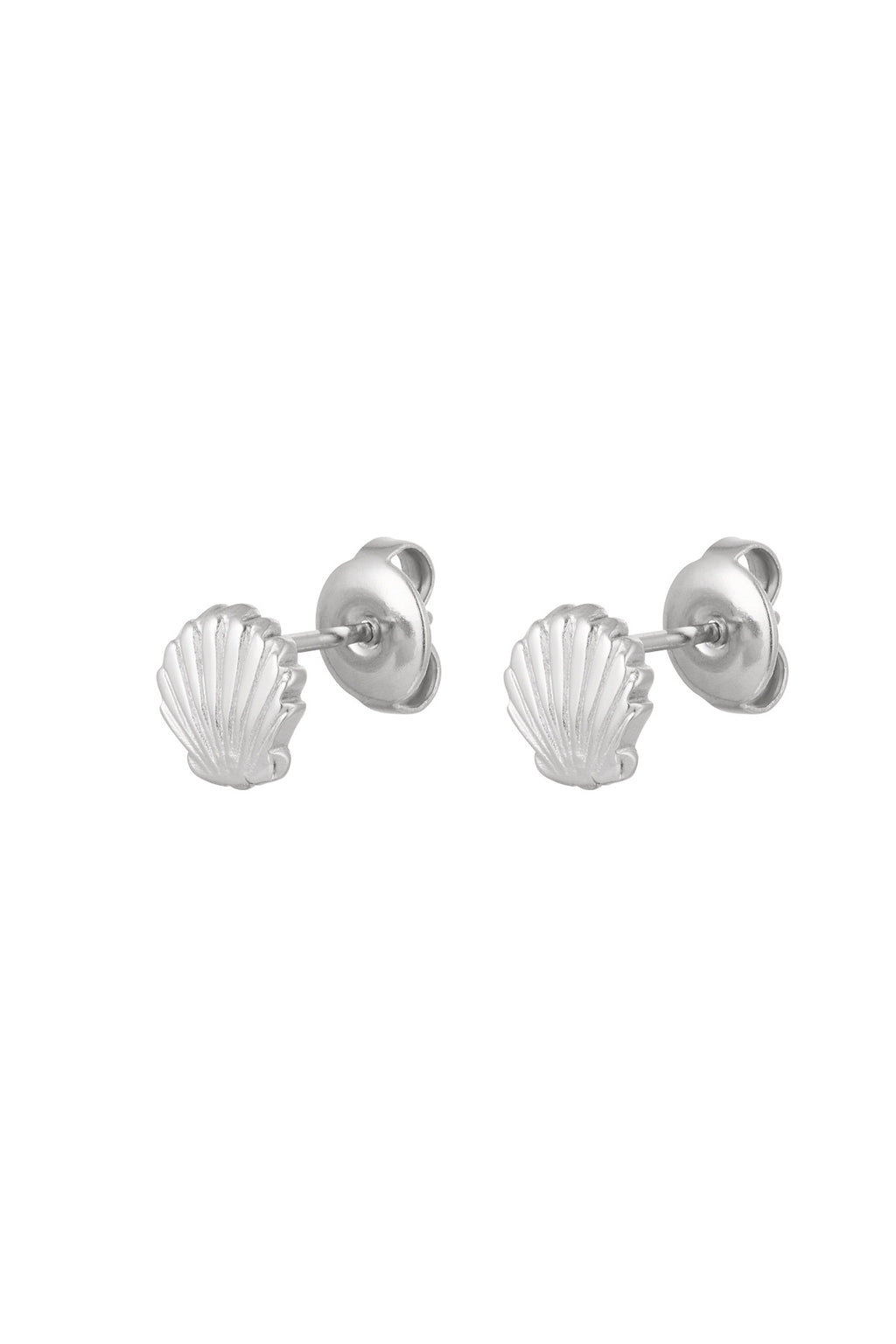 Shell Earrings