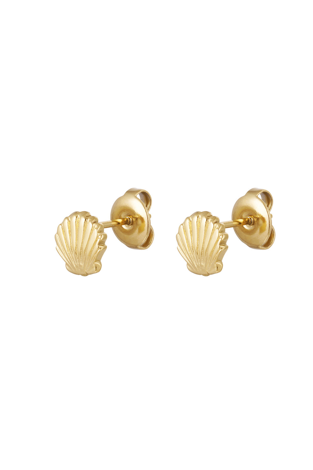 Shell Earrings