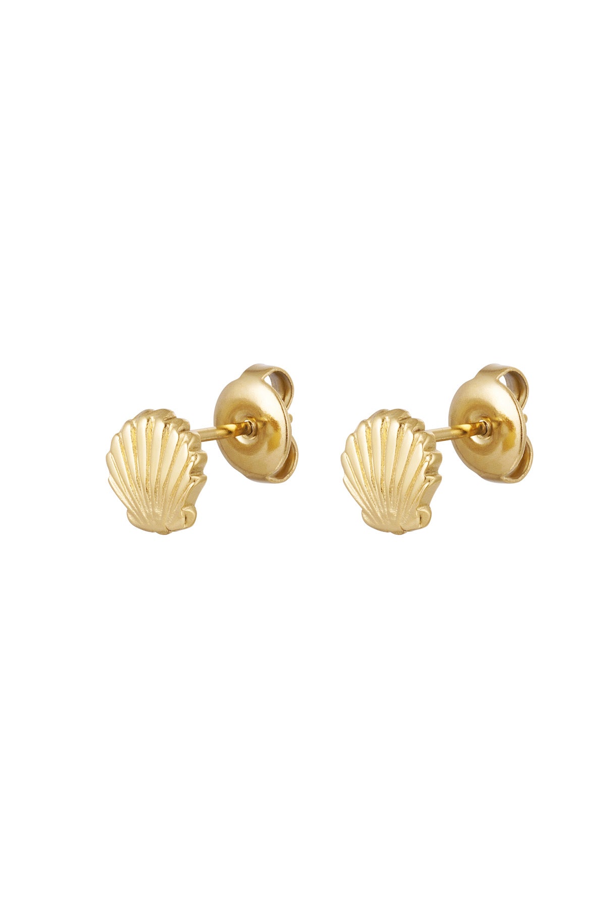 Shell Earrings