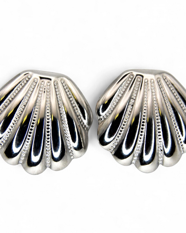 Shell Earrings