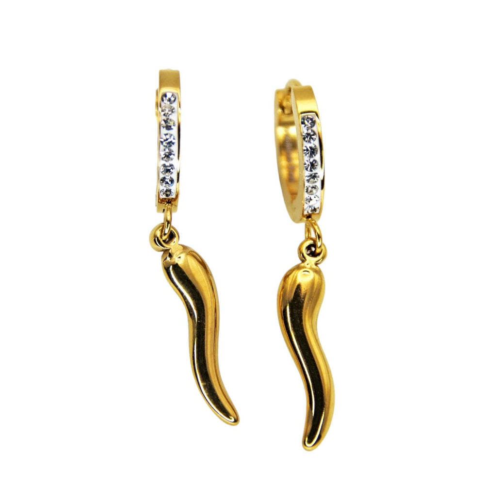 Horn Hoop Earrings