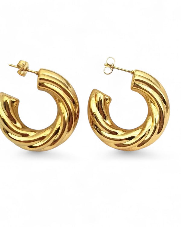 Chubby Vortex Earrings